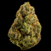 AMNESIA HAZE