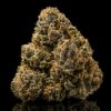 Gorilla Glue
