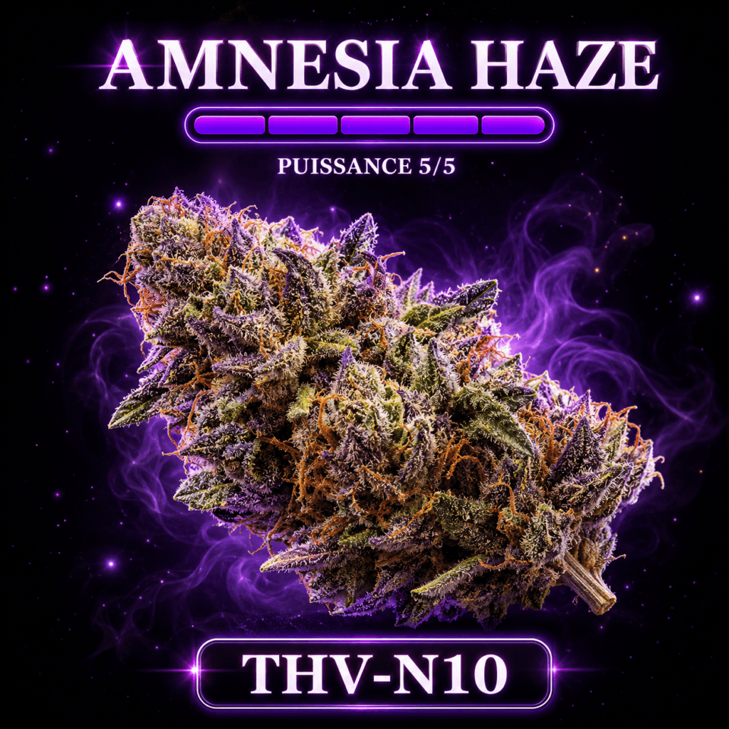 Amnesia Haze THV-N10