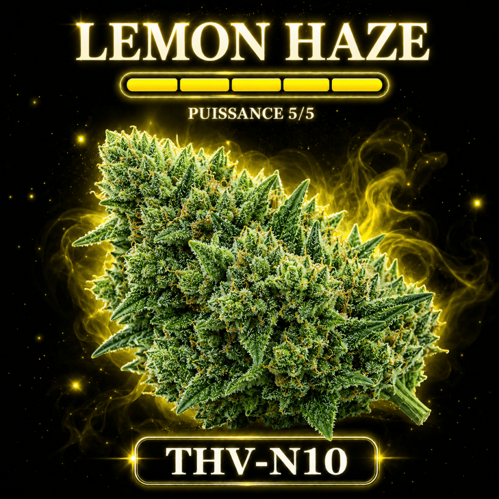 Lemon Haze THV-N10