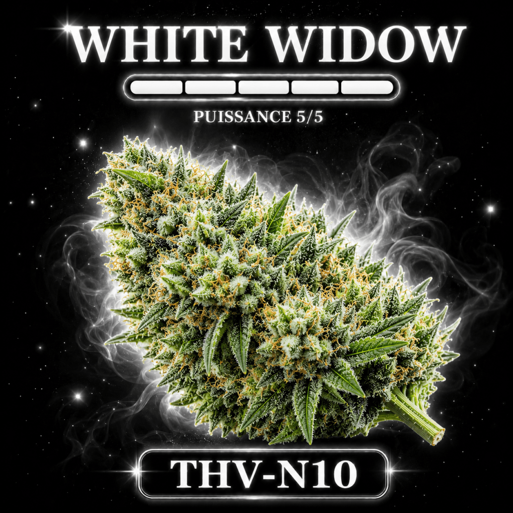 White widow THV-N10