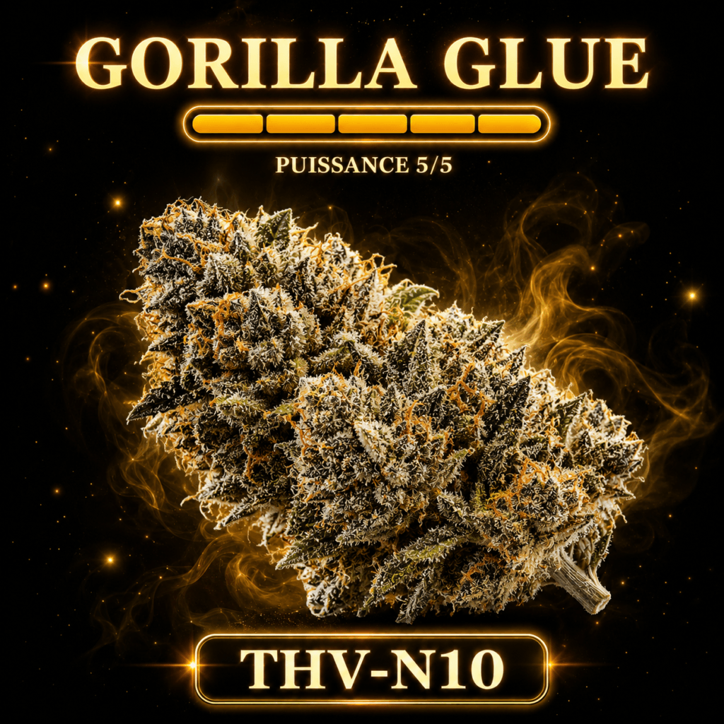 Gorilla Glue THV-N10